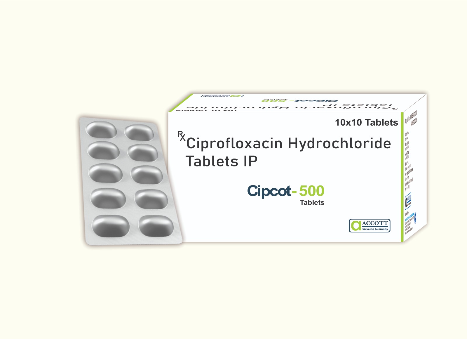 WhatsApp Image 2025 10 16 at 12.34.12 PM