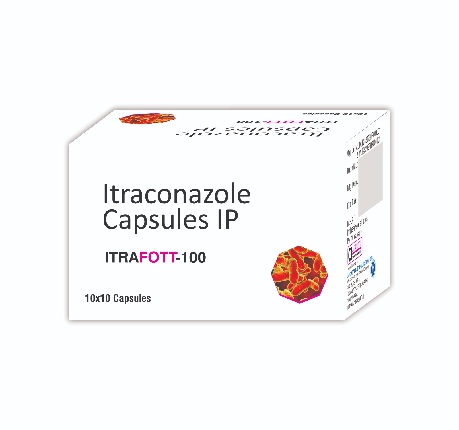 WhatsApp Image 2025 10 23 at 11.57.35 AM 1